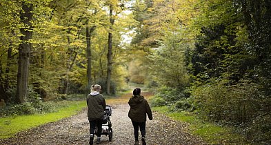 Niektóre nawyki spowalniają starzenie mózgu nawet o osiem lat-61332