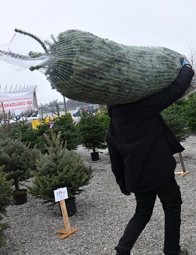 Badanie: przeciętny Polak na święta wyda ponad 1,1 tys. zł-61284