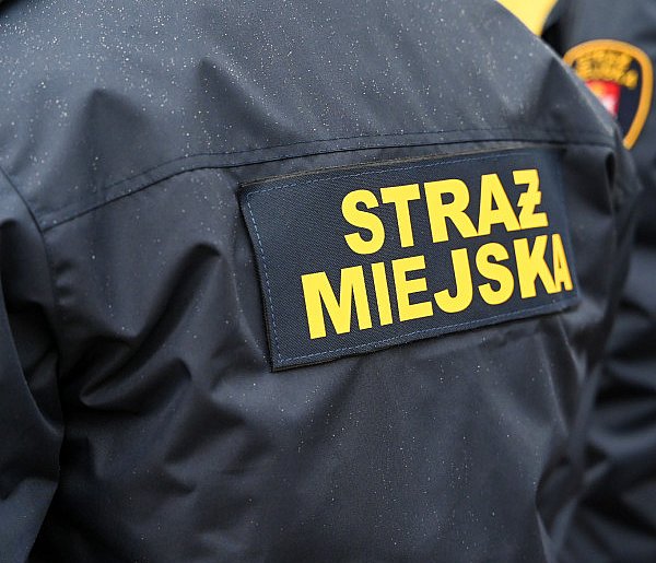 Zapuka strażnik, zapłacisz karę. Ruszyły kontrole w całej Polsce-58293