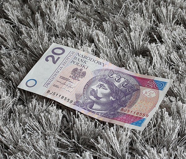 Nowy banknot o nominale 20 zł. Wchodzi do obiegu w tym tygodniu-59311