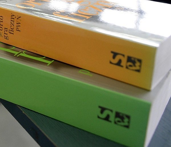 Współautorka benchmarku OneRuler: nie pokazaliśmy wcale, że język polski jest najl-59425