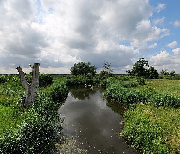 Co dalej z nowym parkiem narodowym? Minister klimatu zdradza plan po wecie-59560