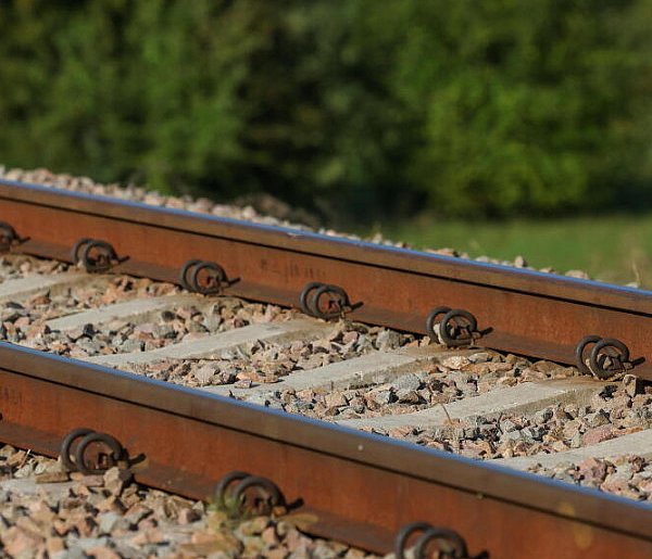 Tysiące drzew i krzewów zostanie posadzonych przy linii kolejowej Podłęże–Piekiełk-60515