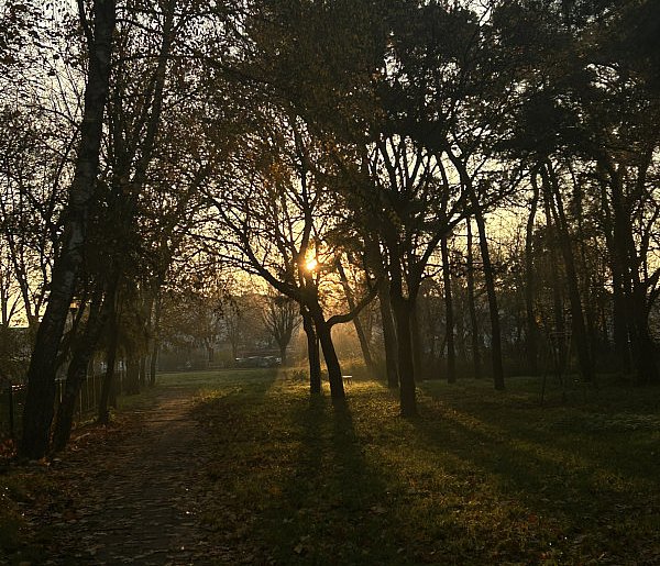 Nadchodzi najkrótszy dzień w 2025 roku. Sprawdź, kiedy przypadnie-61383