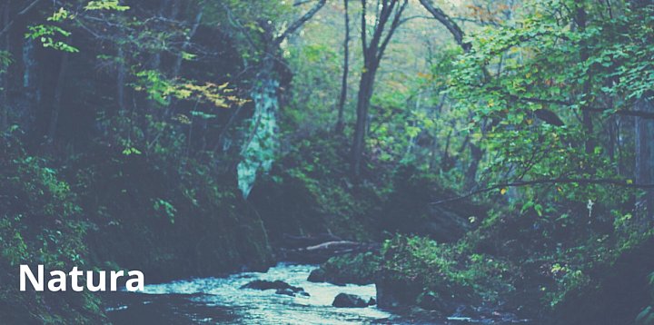 Naukowcy chcą uzyskać genomy wszystkich gatunków europe-61979