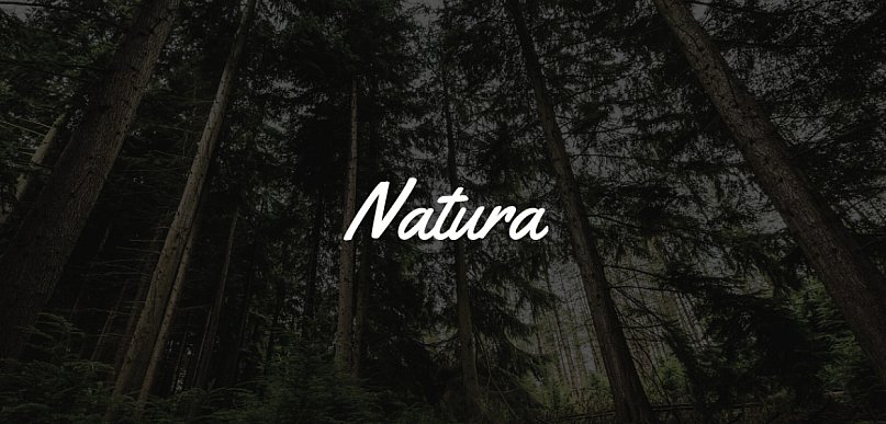 34. Finał WOŚP/ W stołecznym zoo urodził się myszojeleń; imię nada mu zwycięzca au