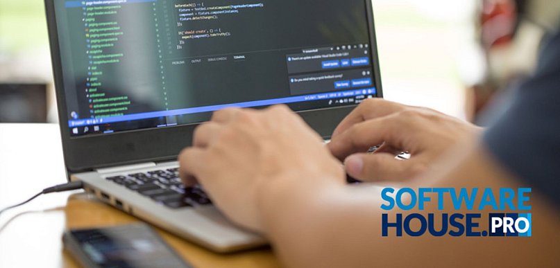 Software house Polska – jak wybrać partnera do tworzenia aplikacji webowych