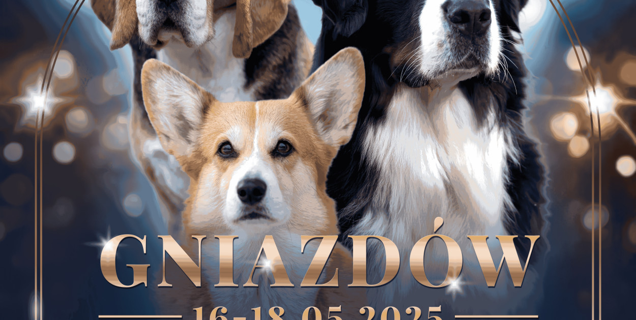Będziński Weekend Wystaw Psów Rasowych 2025 – Gniazdów Gmina Koziegłowy