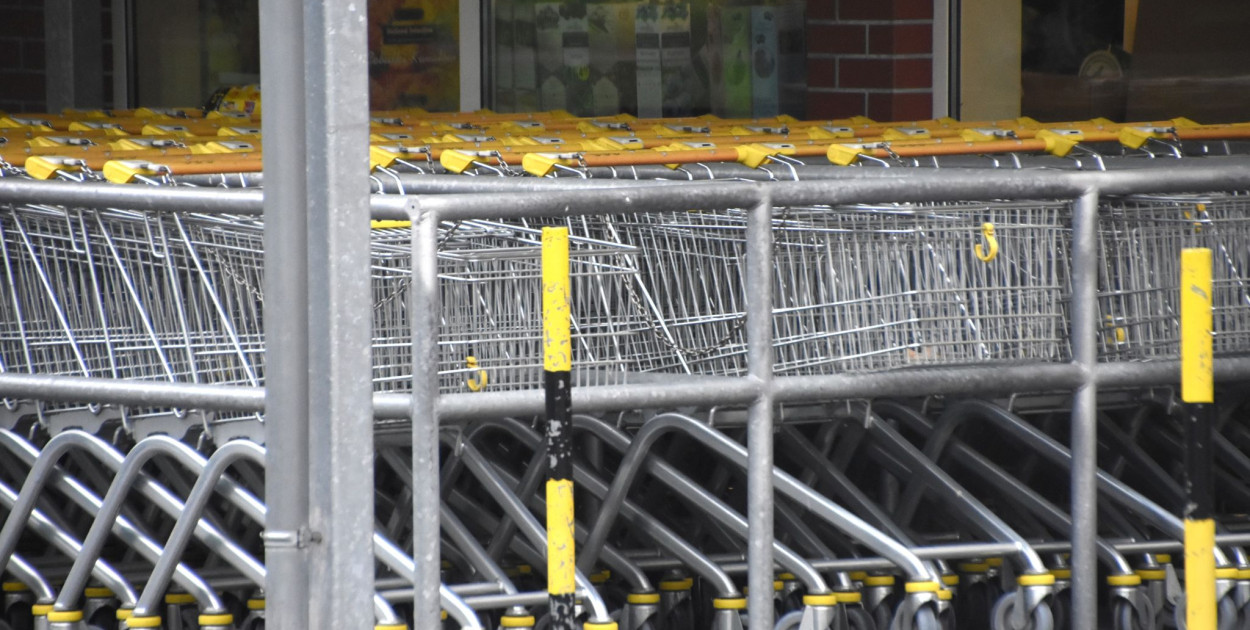 Fot. Micha? Osiecki / siecportali.pl