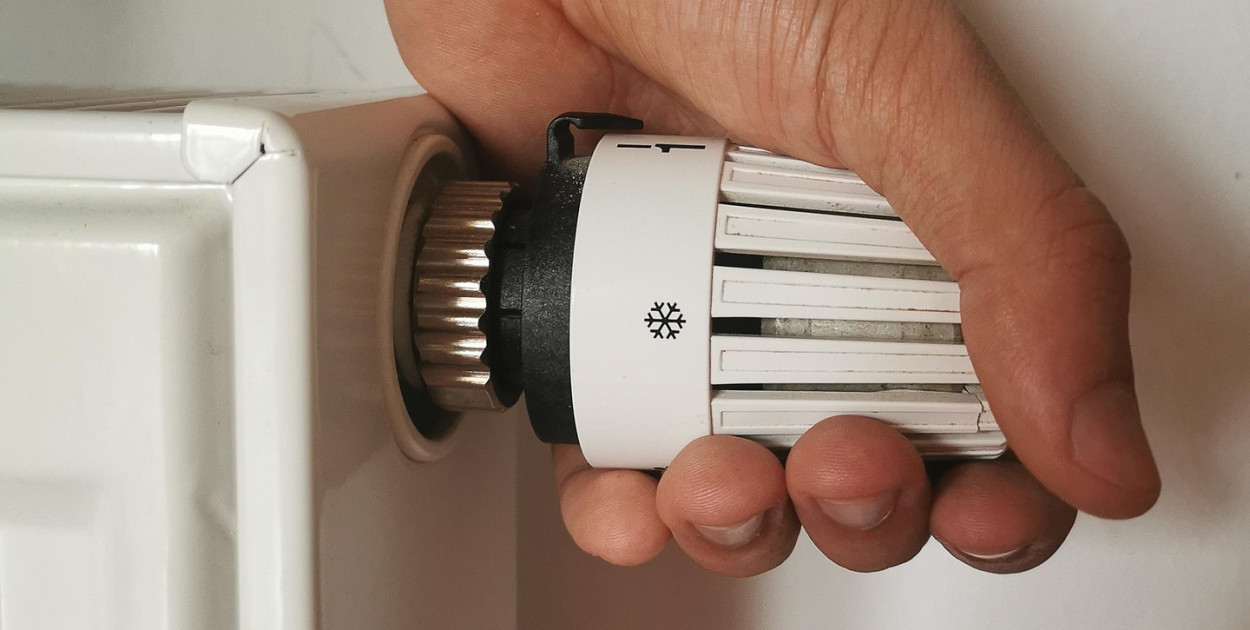 Obraz Alexandra_Koch z Pixabay