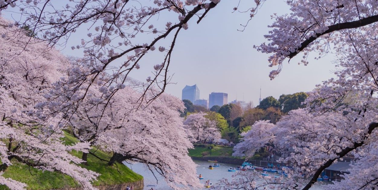 Miesiąc miodowy w rytmie zen lub przygody – odkryj najciekawsze zakątki Azji